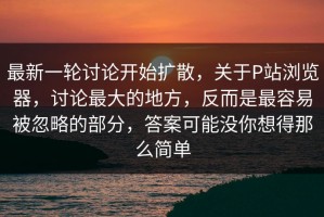 最新一轮讨论开始扩散，关于P站浏览器，讨论最大的地方，反而是最容易被忽略的部分，答案可能没你想得那么简单