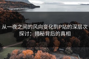 从一夜之间的风向变化到P站的深层次探讨：揭秘背后的真相