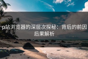 p站浏览器的深层次探秘：背后的前因后果解析