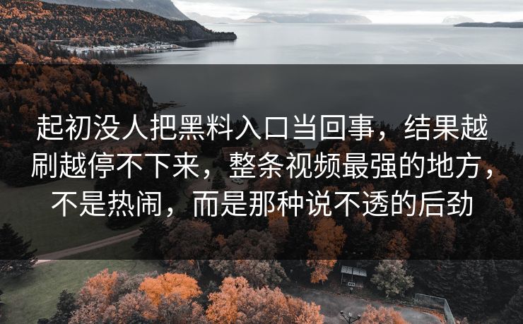 起初没人把黑料入口当回事，结果越刷越停不下来，整条视频最强的地方，不是热闹，而是那种说不透的后劲