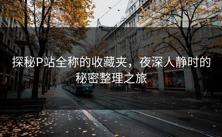探秘P站全称的收藏夹,夜深人静时的秘密整理之旅 探秘P站全称的收藏夹,夜深人静时的秘密整理之旅