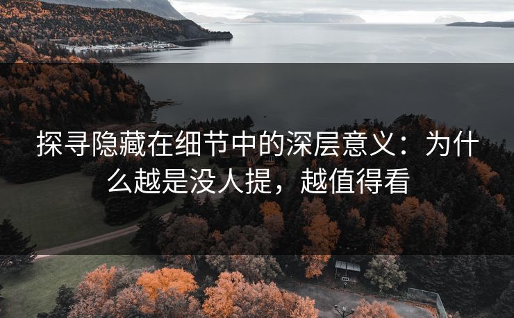 探寻隐藏在细节中的深层意义:为什么越是没人提,越值得看 探寻隐藏在细节中的深层意义:为什么越是没人提,越值得看