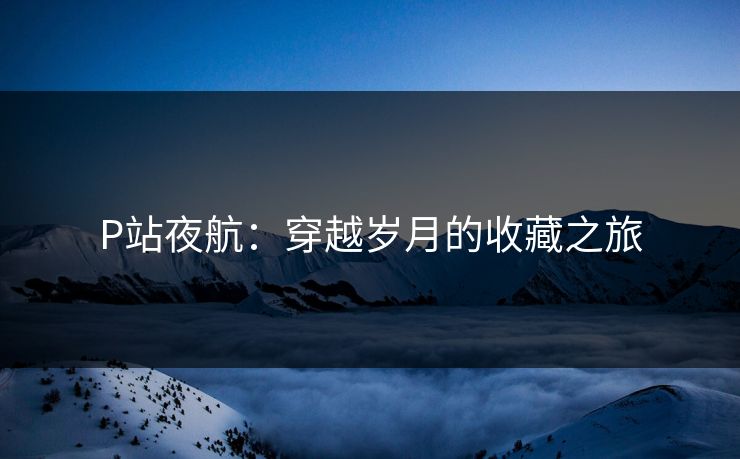 P站夜航:穿越岁月的收藏之旅 P站夜航:穿越岁月的收藏之旅